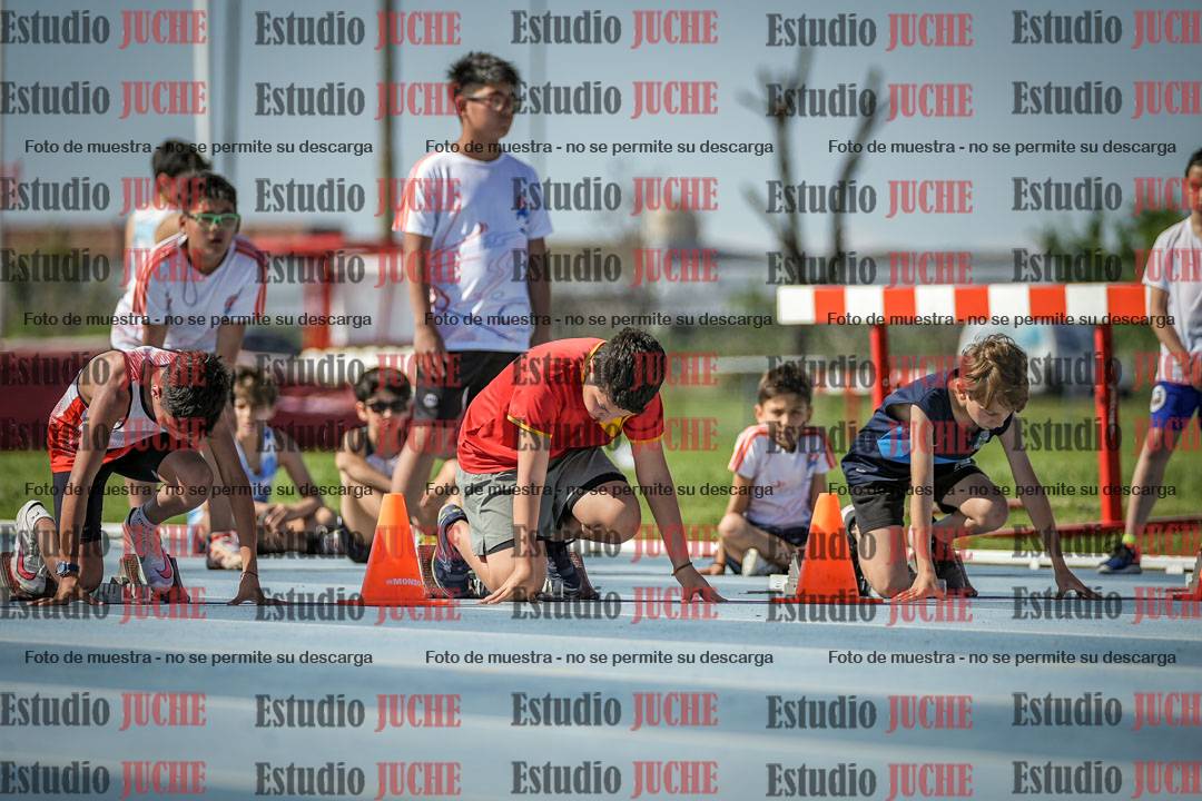 Fotos de los 50 m llanos de varones