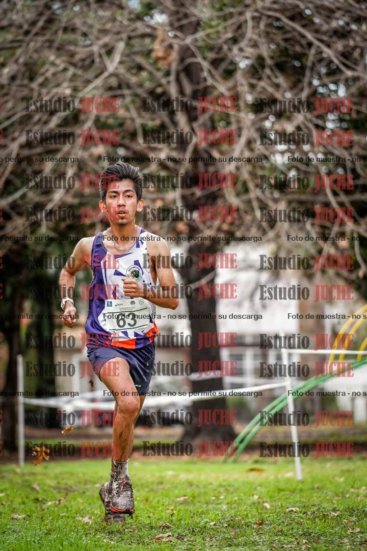 Fotos en el circuito
