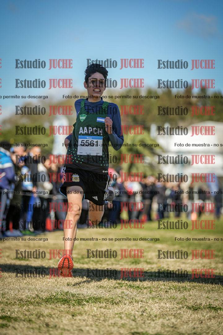 Fotos de las llegadas