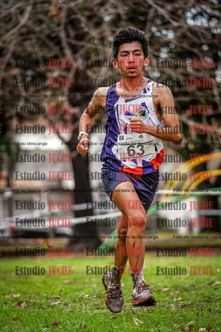 Fotos en el circuito