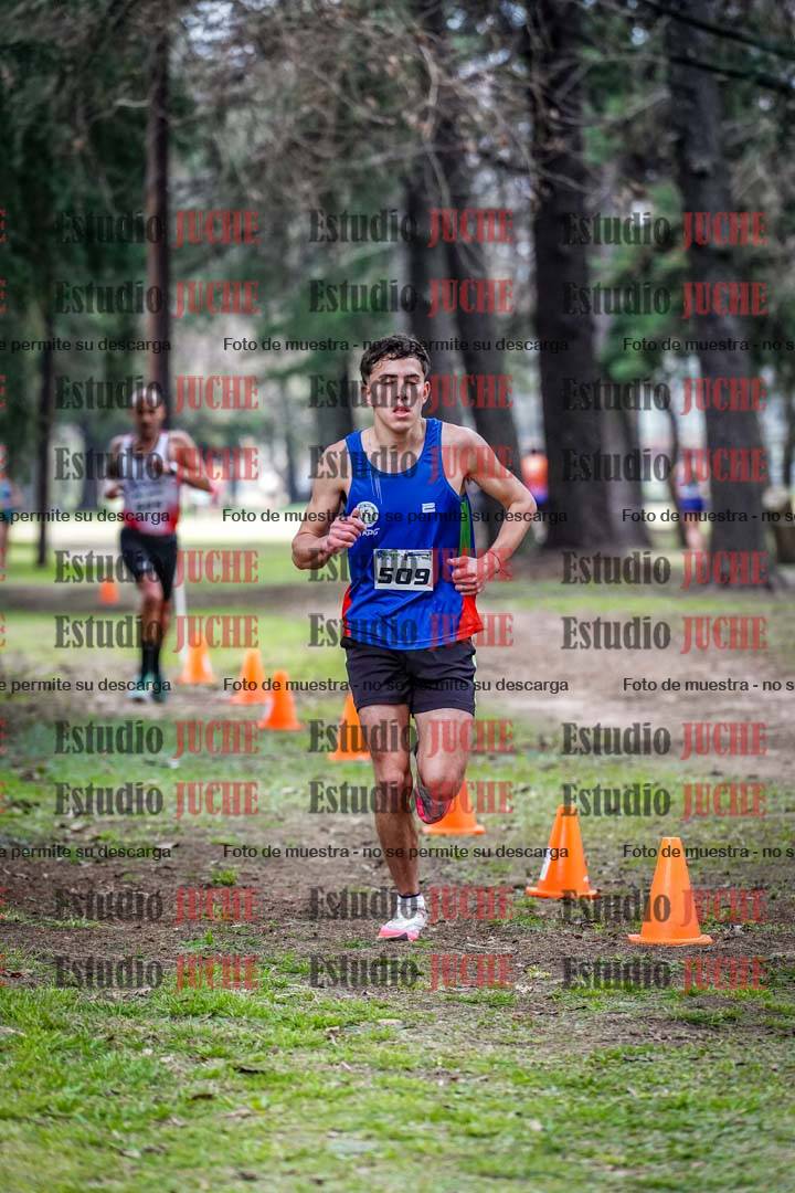 Fotos en el circuito