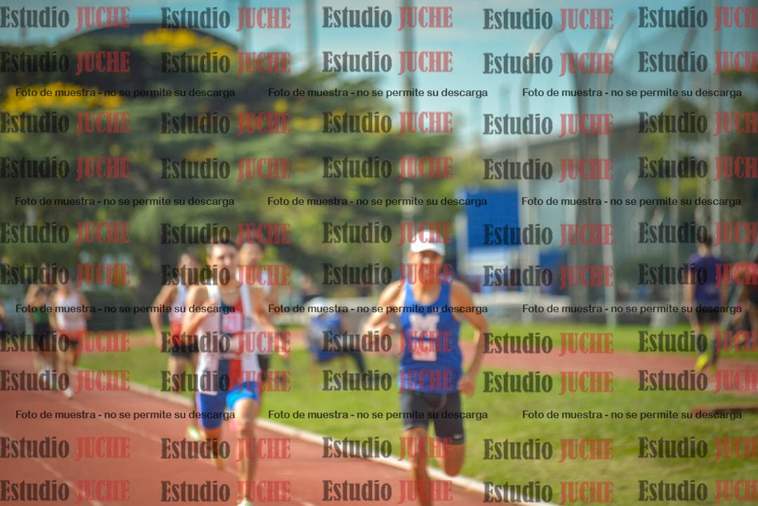 Fotos de los 800 m llanos de varones