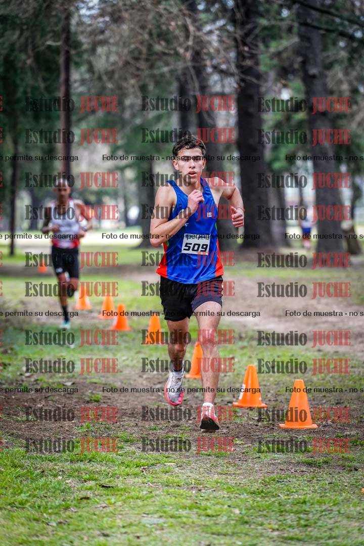 Fotos en el circuito