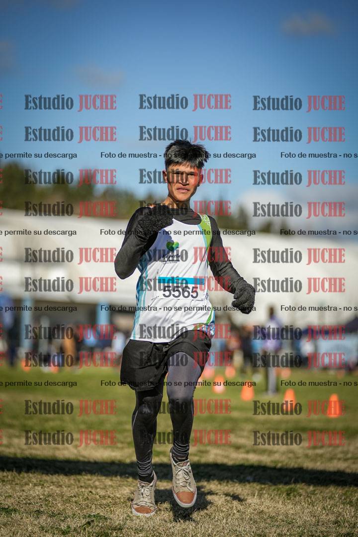 Fotos de las llegadas