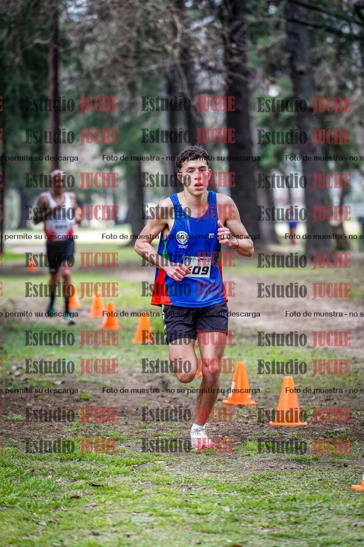 Fotos en el circuito