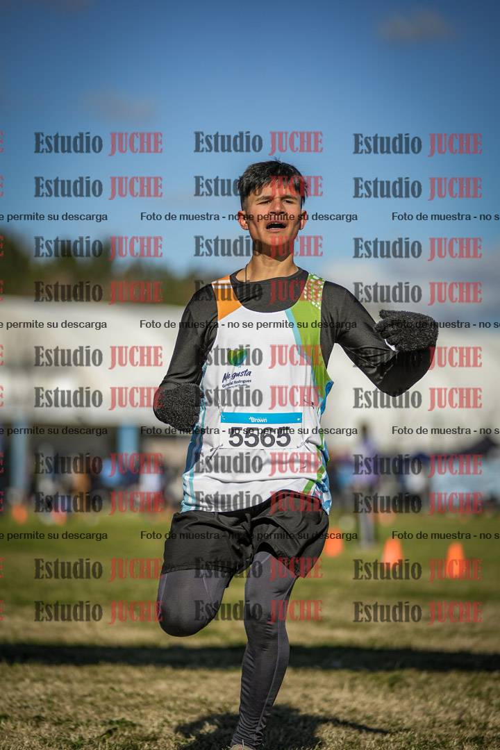 Fotos de las llegadas