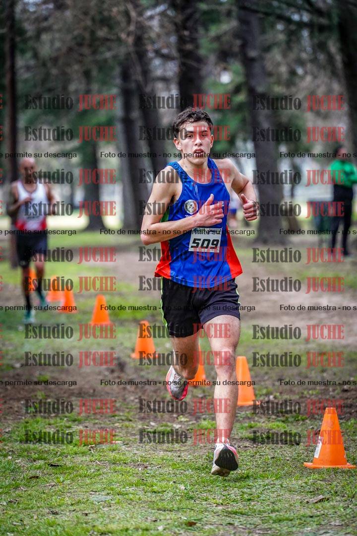 Fotos en el circuito