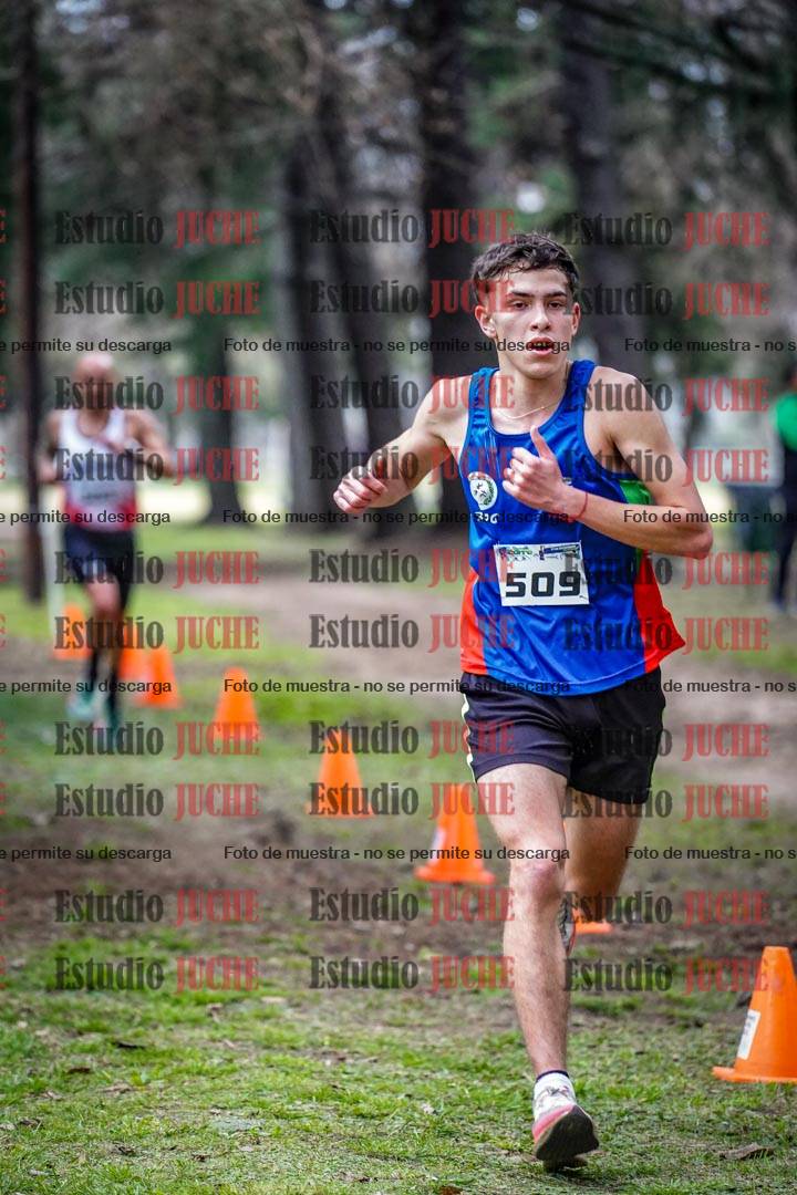 Fotos en el circuito