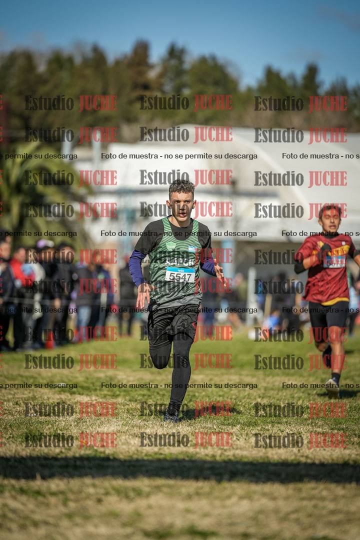 Fotos de las llegadas