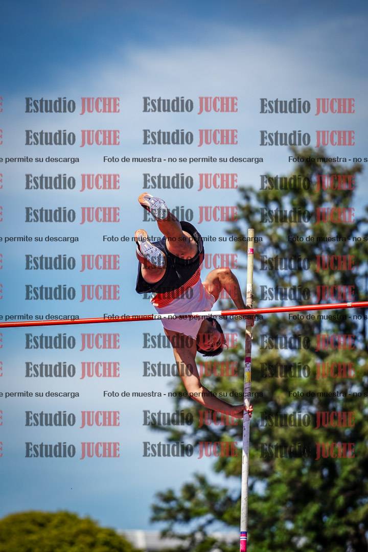 Fotos del salto con garrocha de mujeres y varones