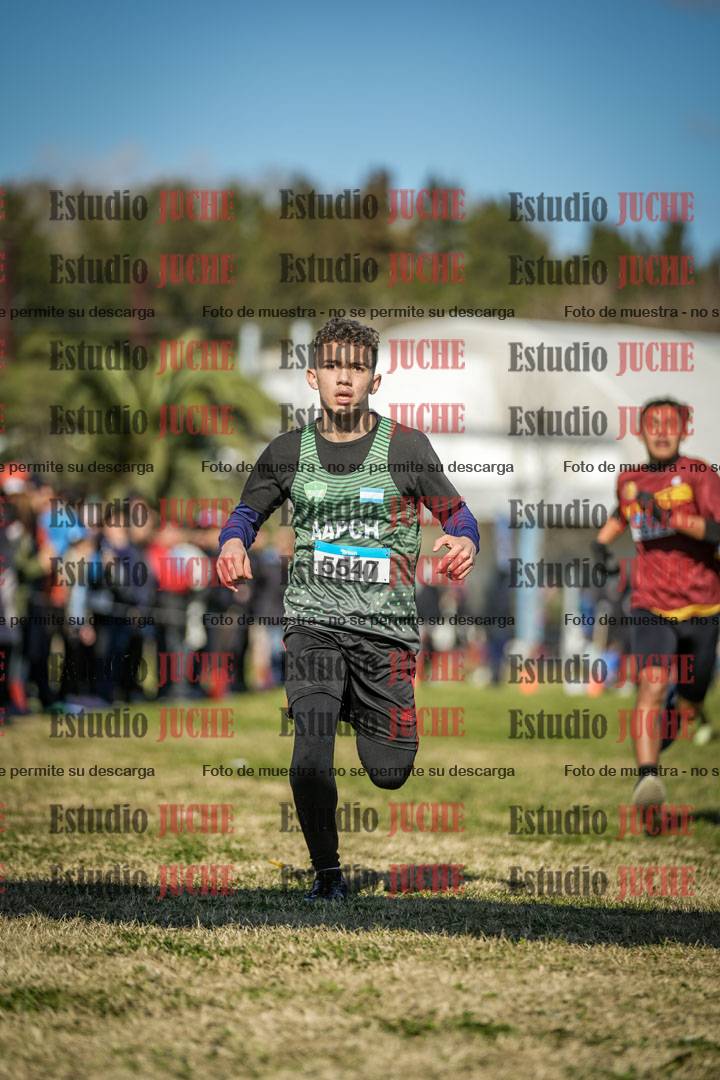 Fotos de las llegadas