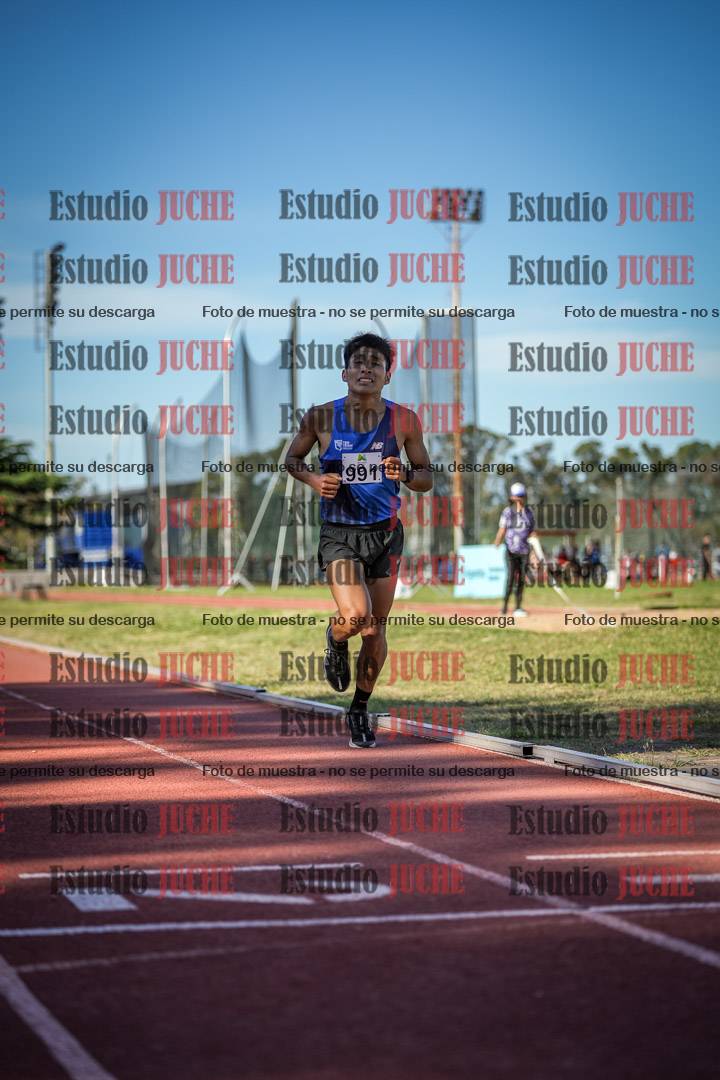 Fotos de los 5000 m llanos de varones