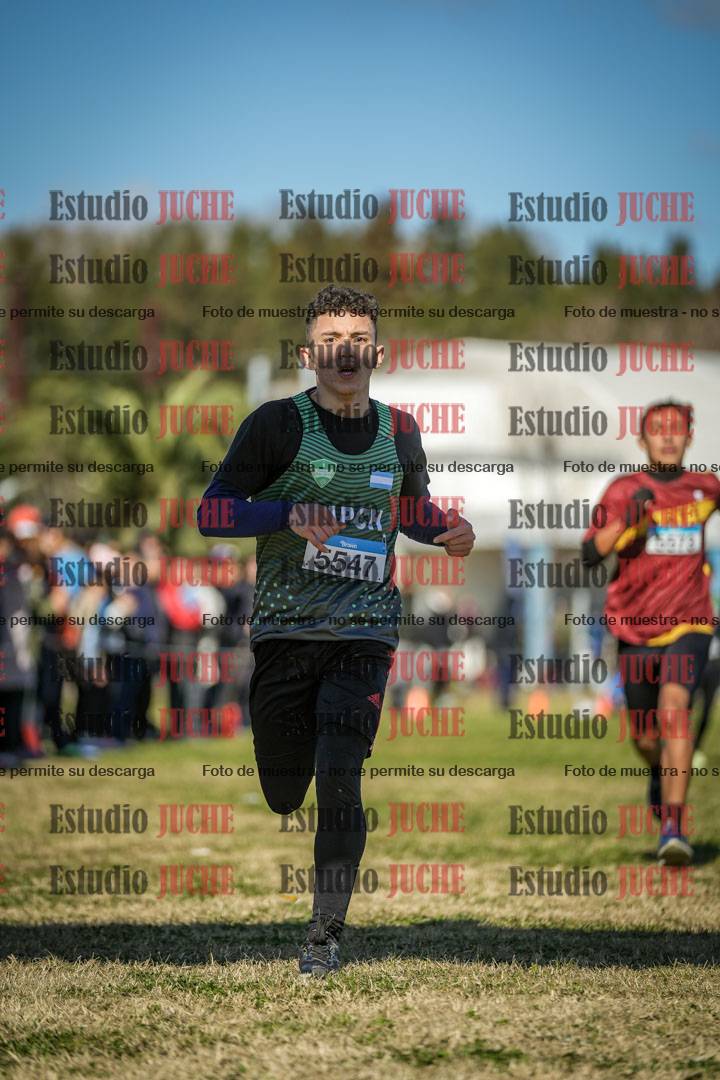 Fotos de las llegadas