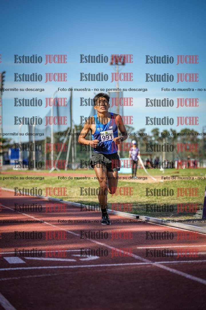 Fotos de los 5000 m llanos de varones