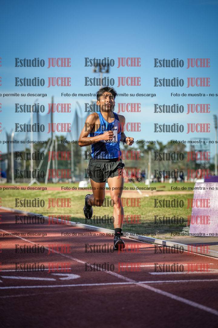 Fotos de los 5000 m llanos de varones