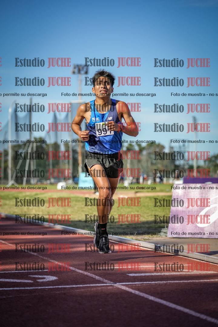 Fotos de los 5000 m llanos de varones