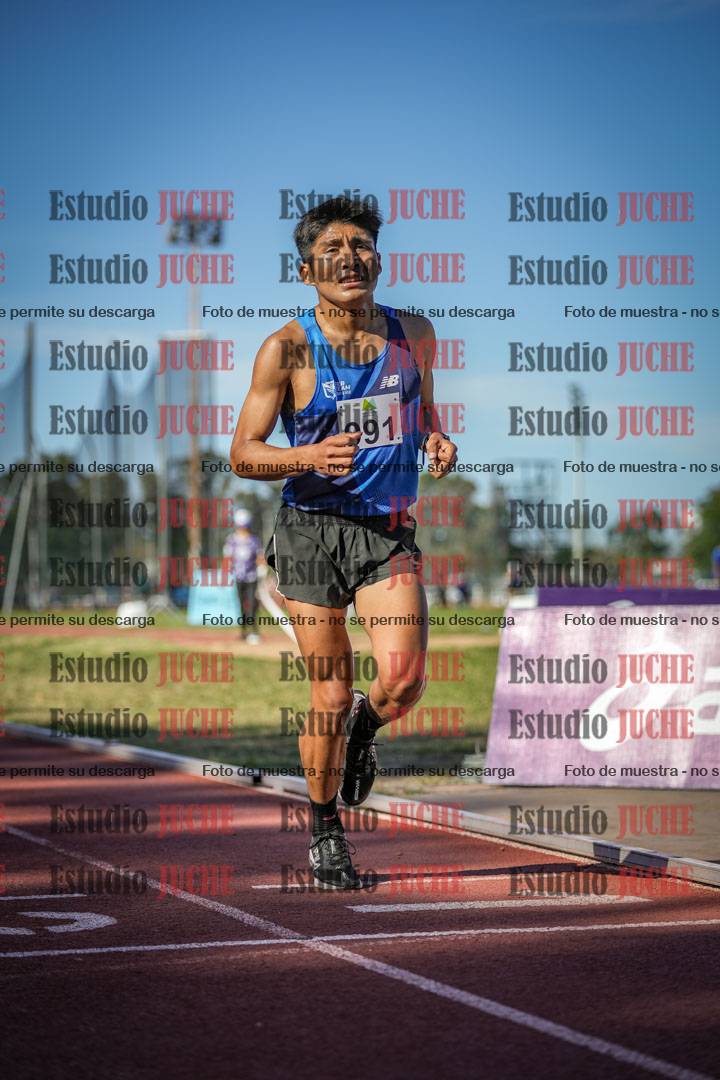 Fotos de los 5000 m llanos de varones