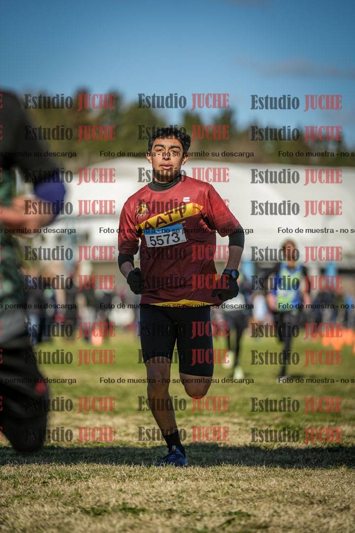 Fotos de las llegadas
