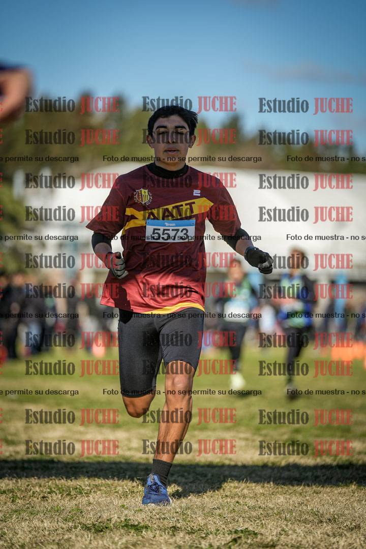 Fotos de las llegadas