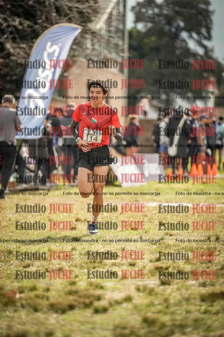 Fotos de la llegada