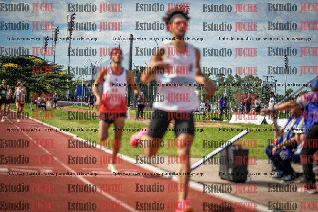 Fotos de los 800 m llanos de varones