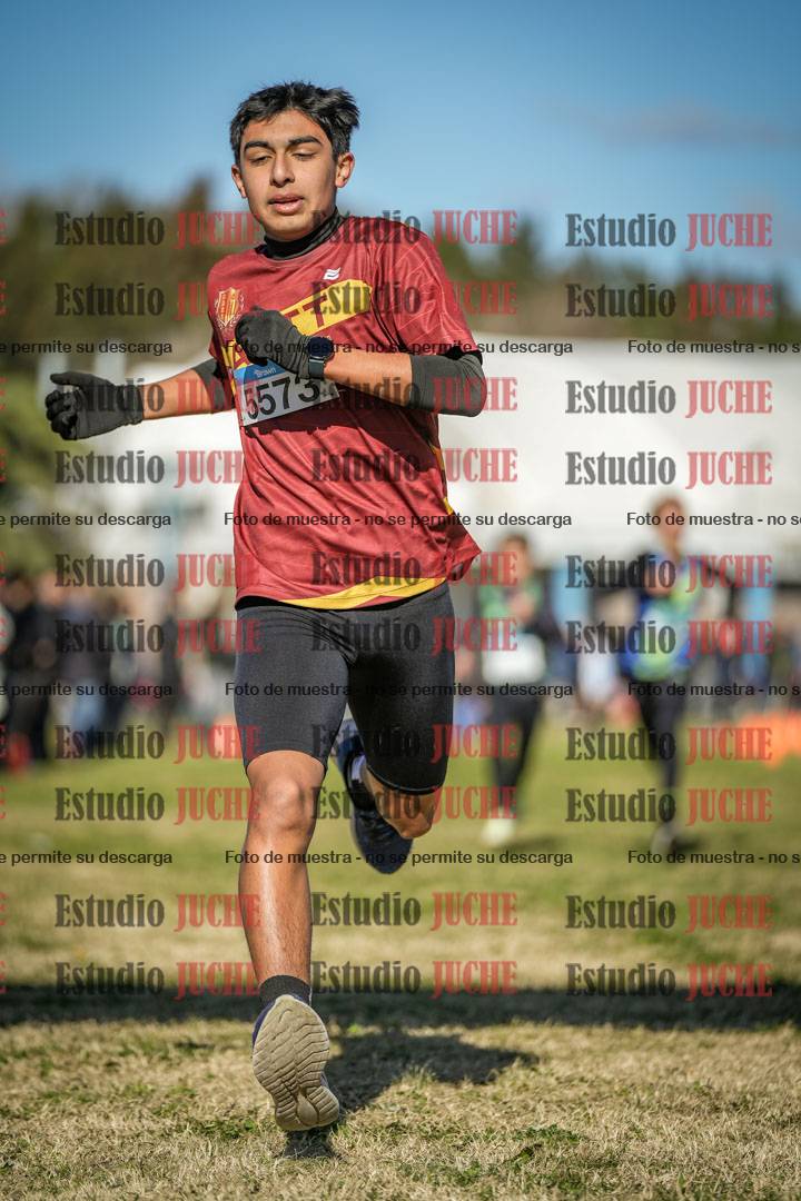 Fotos de las llegadas