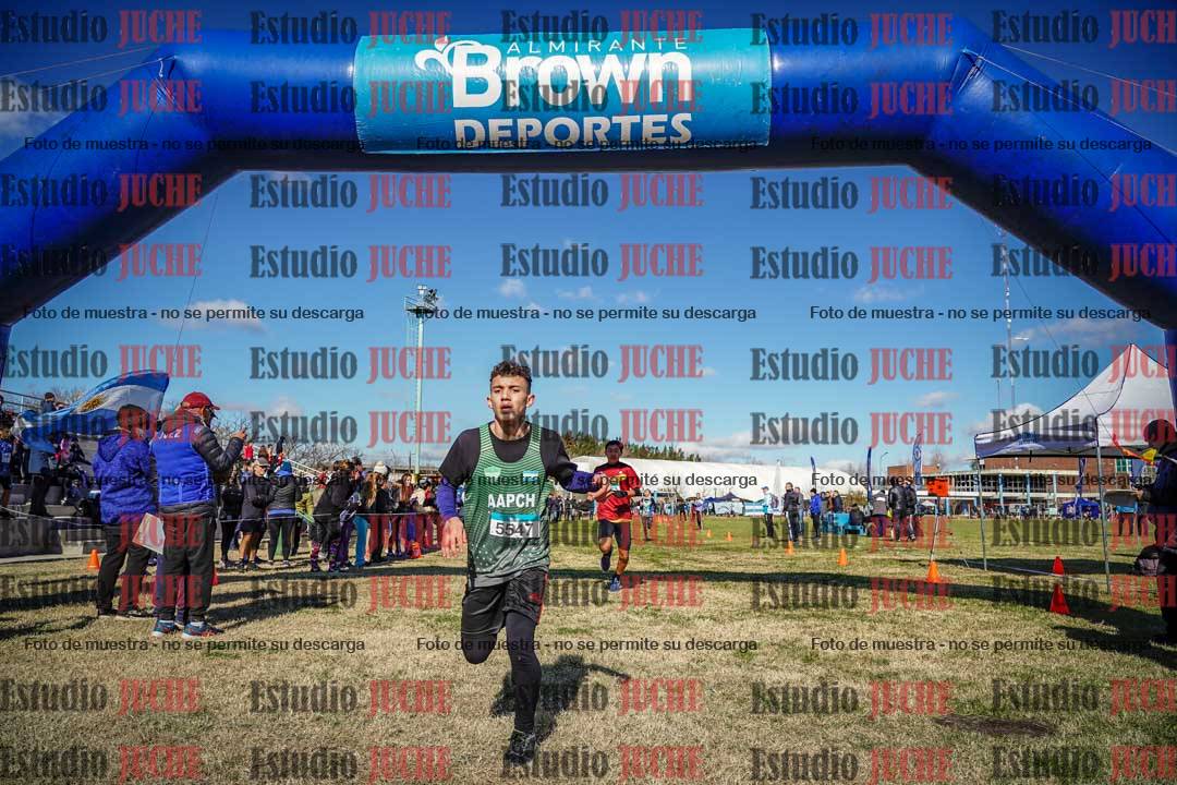 Fotos de las llegadas