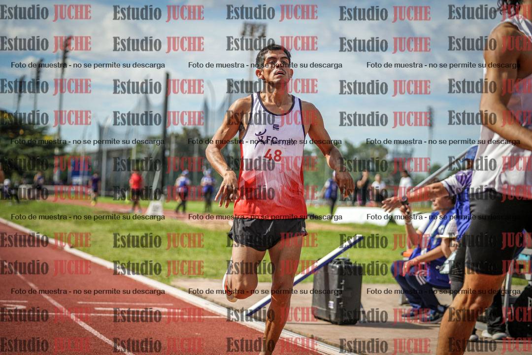 Fotos de los 800 m llanos de varones