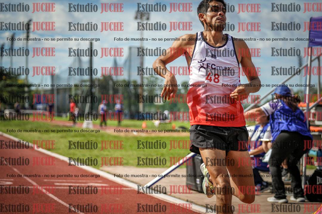 Fotos de los 800 m llanos de varones