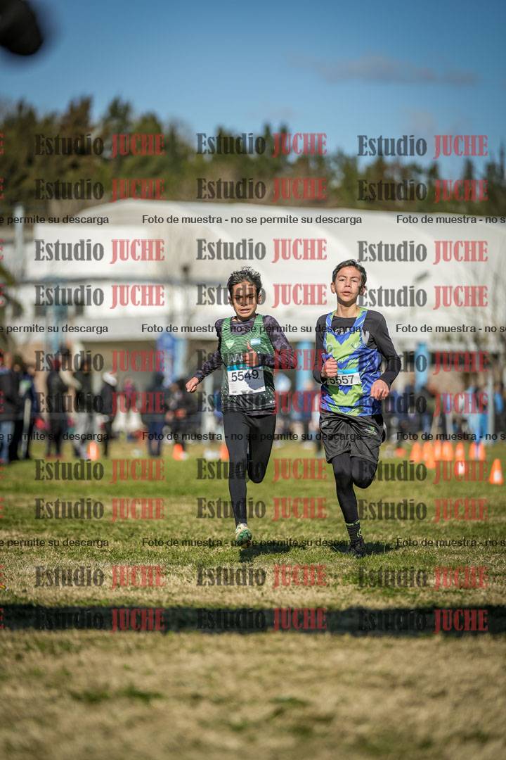Fotos de las llegadas