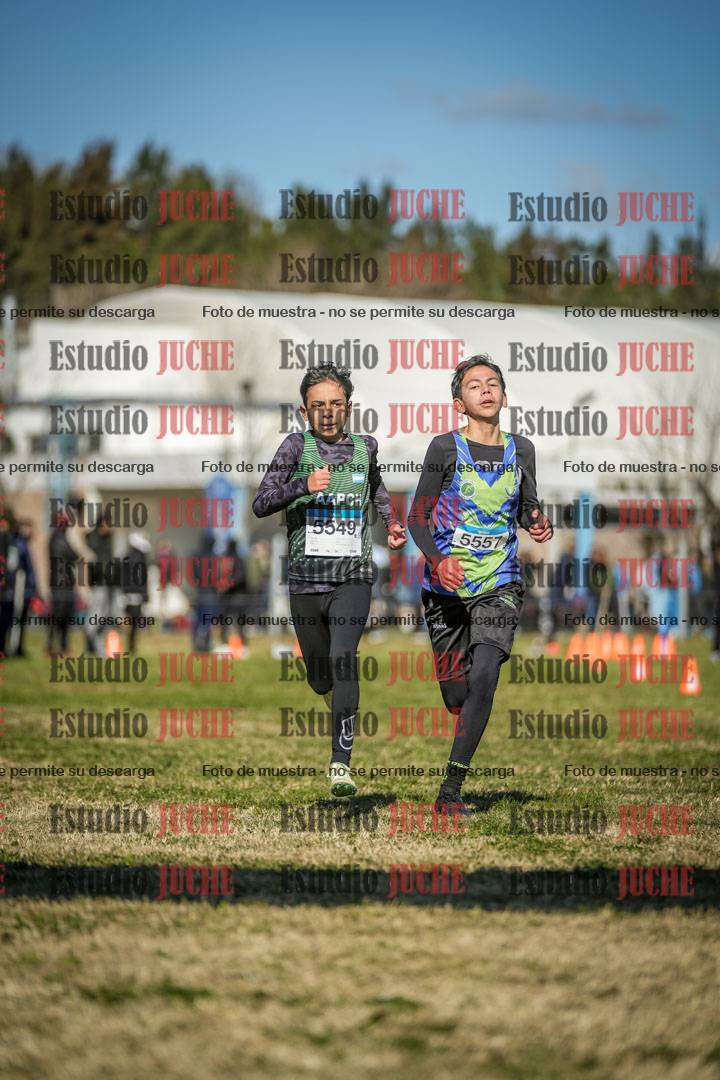 Fotos de las llegadas