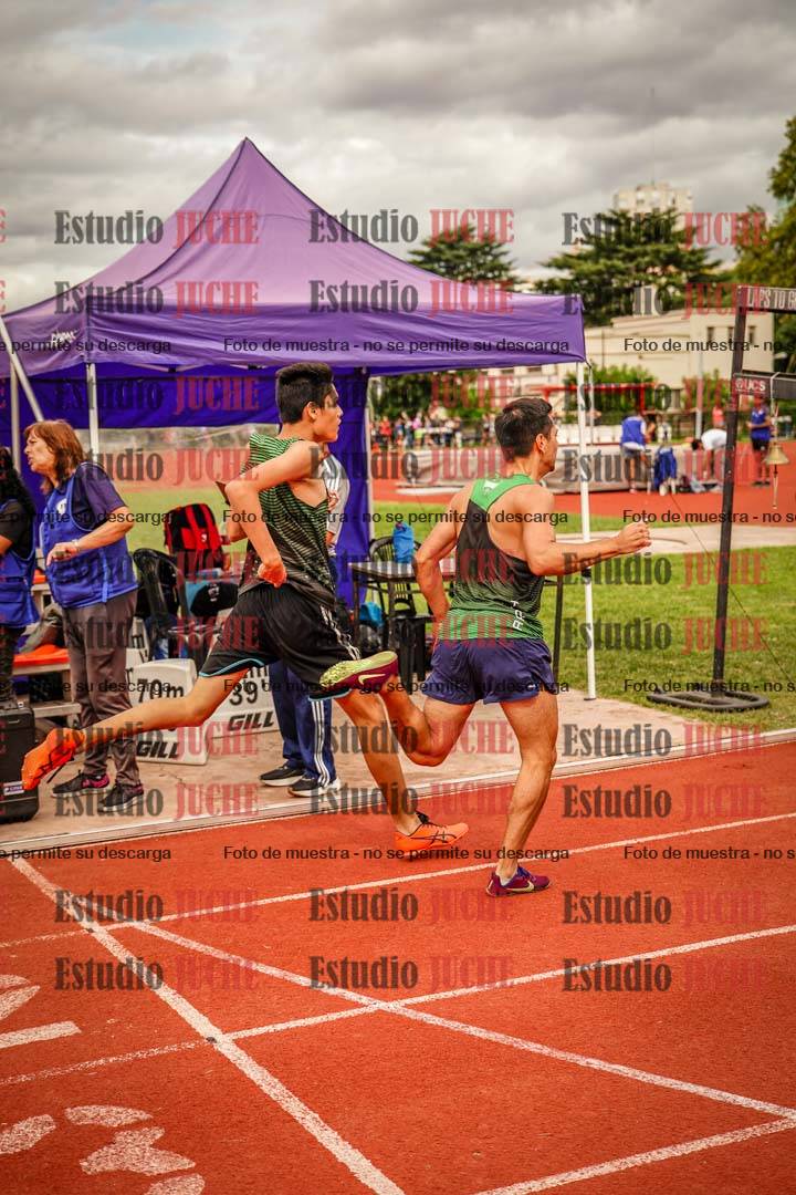 Fotos de los 800 m de varones
