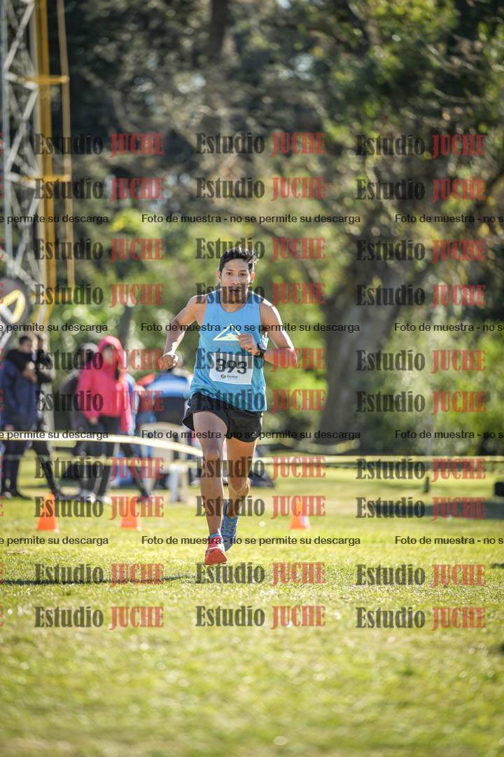Fotos de la llegada del cross de 8000 m