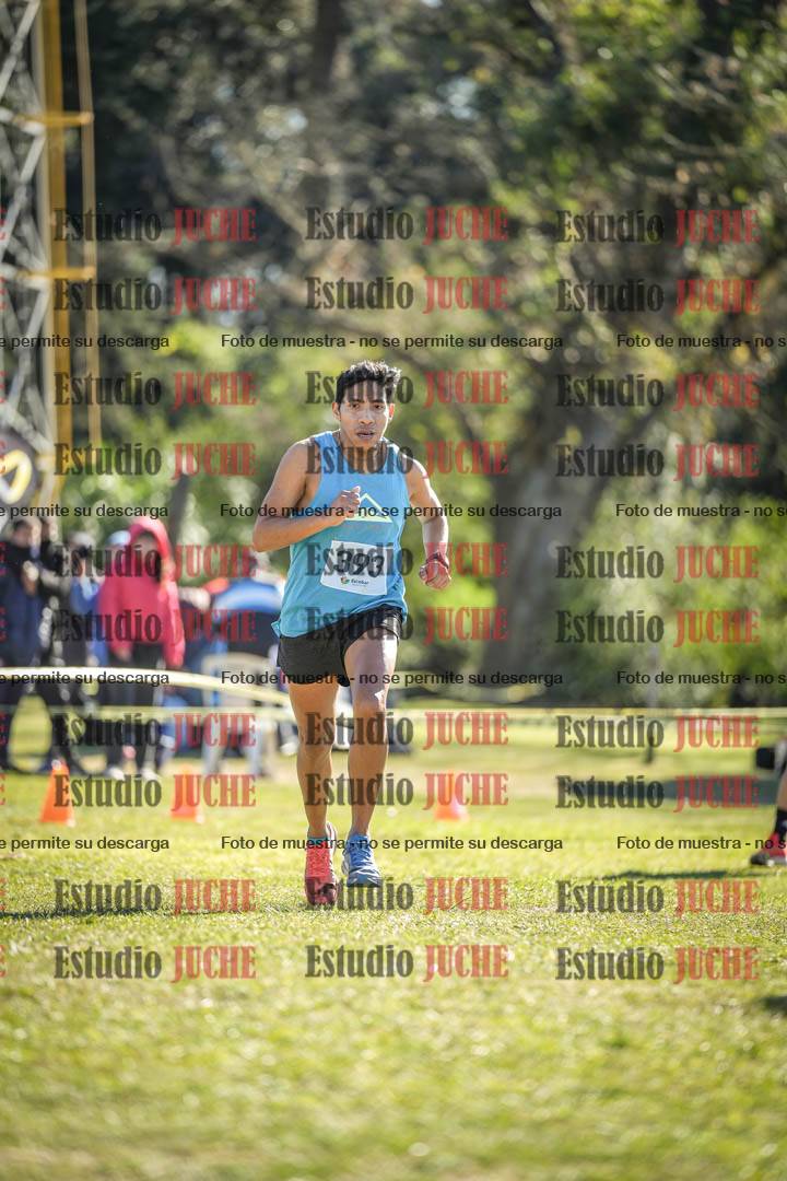 Fotos de la llegada del cross de 8000 m
