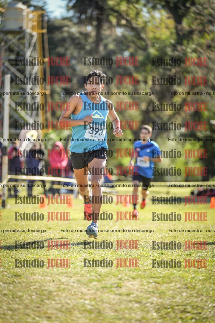 Fotos de la llegada del cross de 8000 m