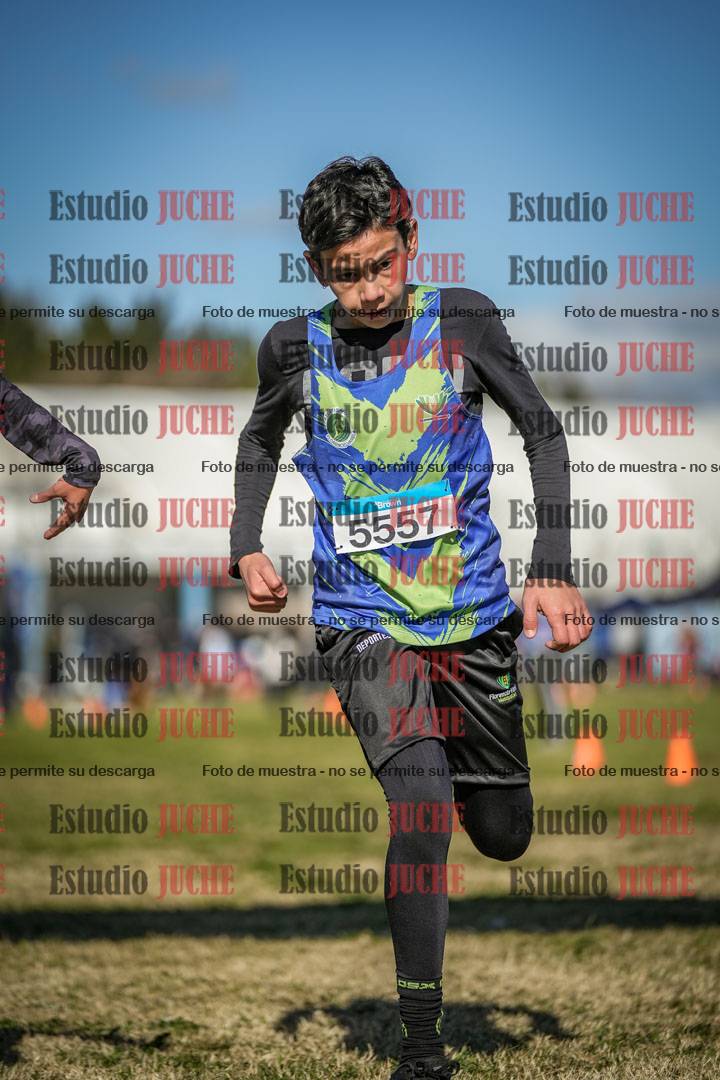 Fotos de las llegadas