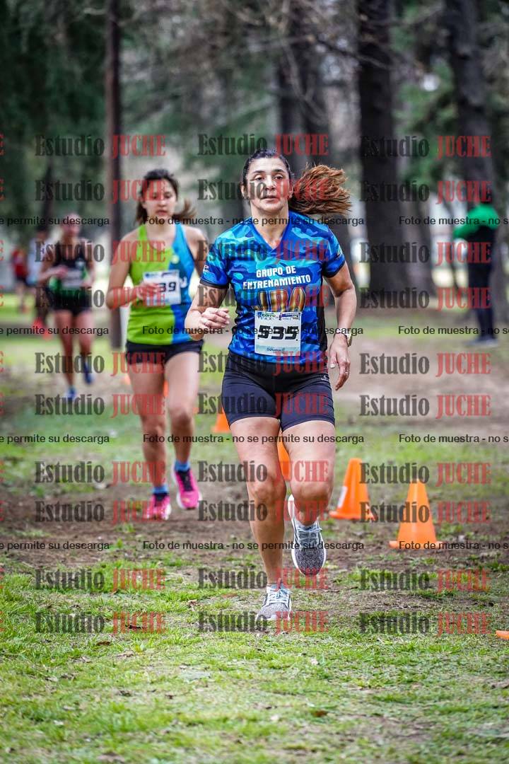 Fotos en el circuito