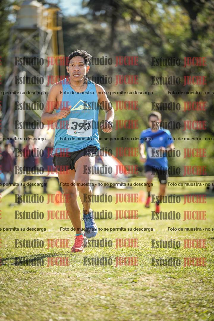 Fotos de la llegada del cross de 8000 m