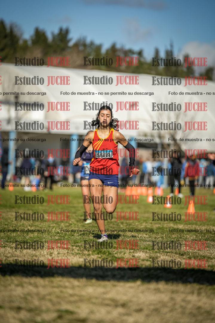 Fotos de las llegadas