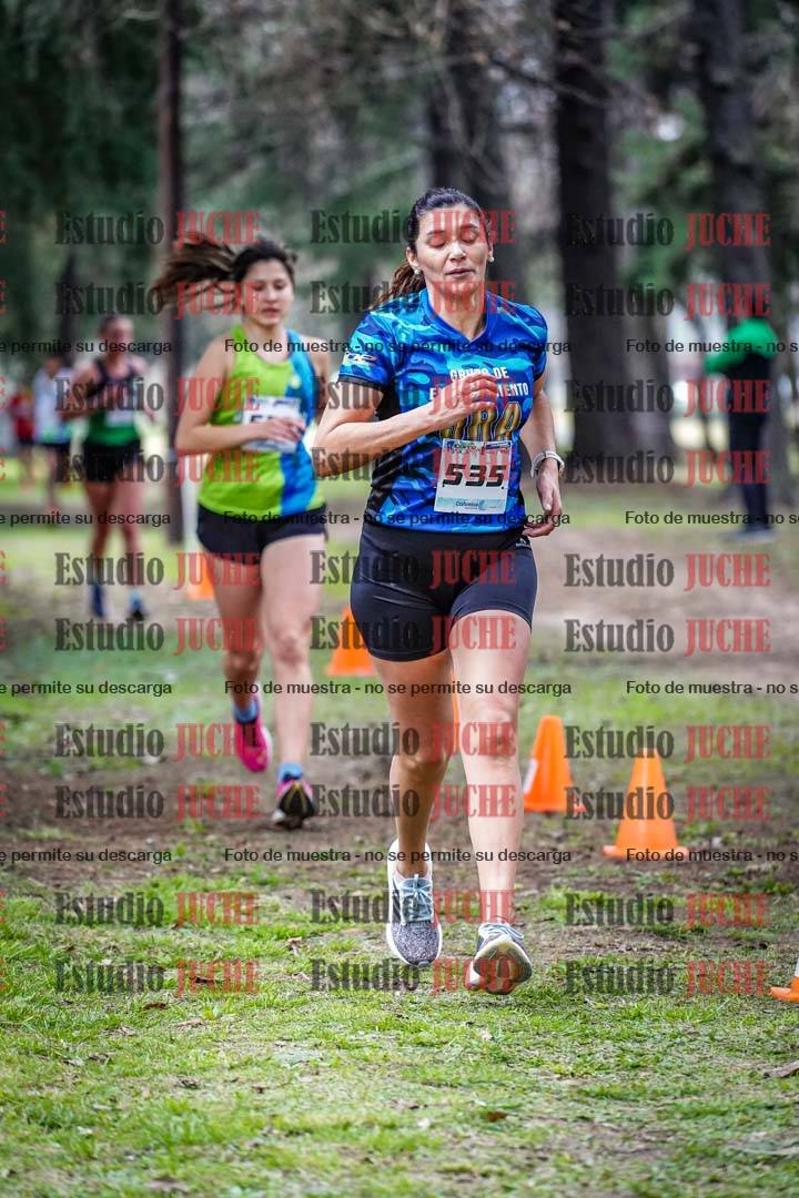 Fotos en el circuito