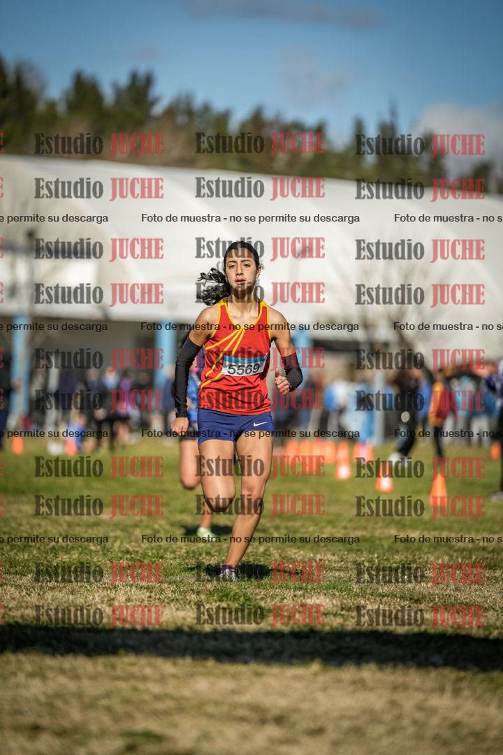 Fotos de las llegadas
