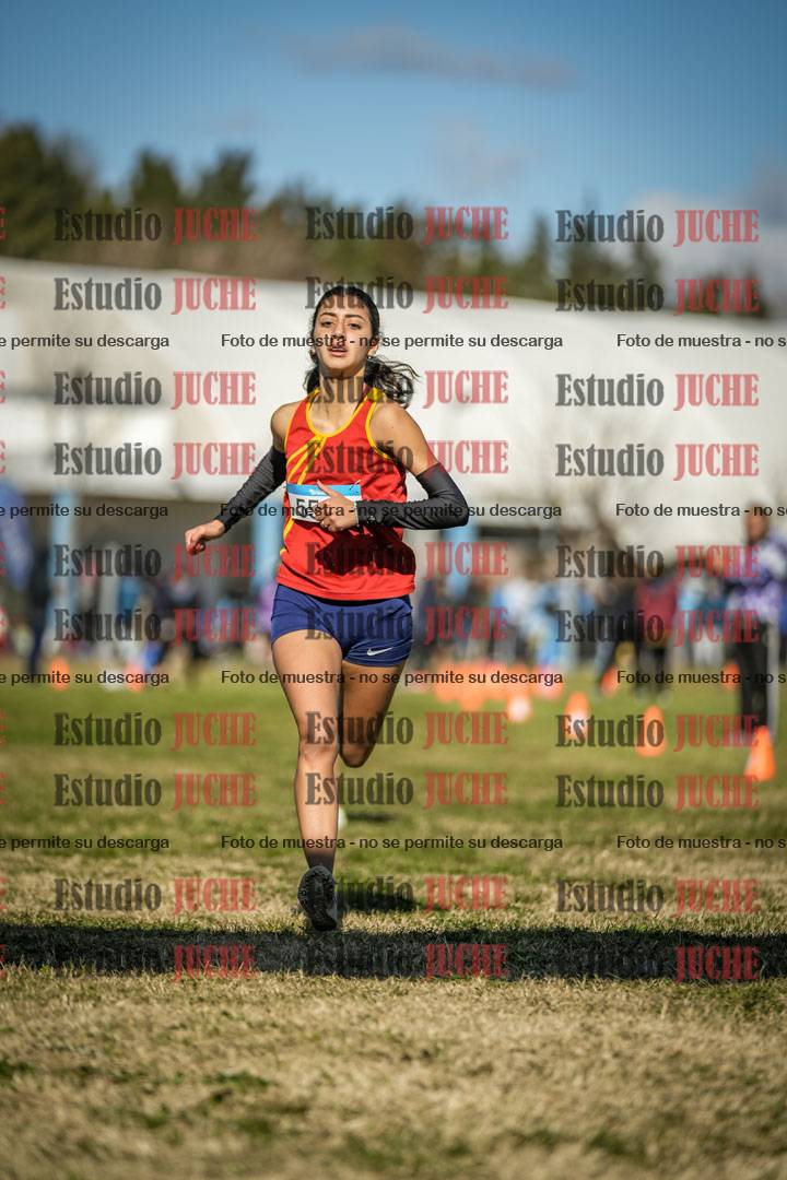 Fotos de las llegadas