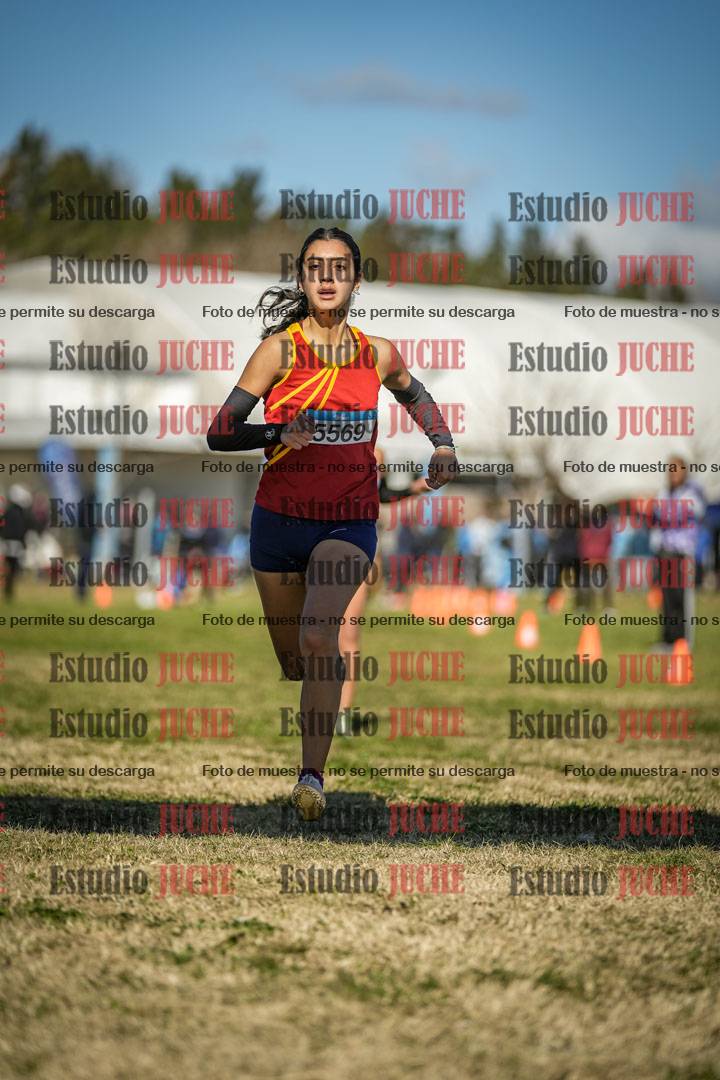 Fotos de las llegadas