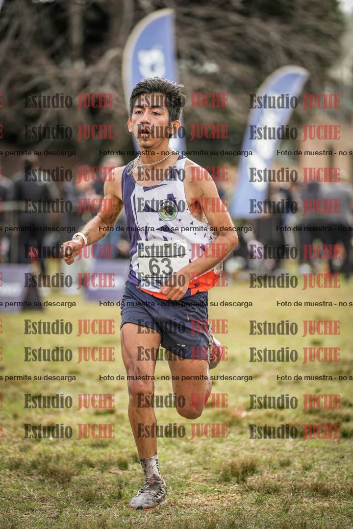 Fotos de la llegada