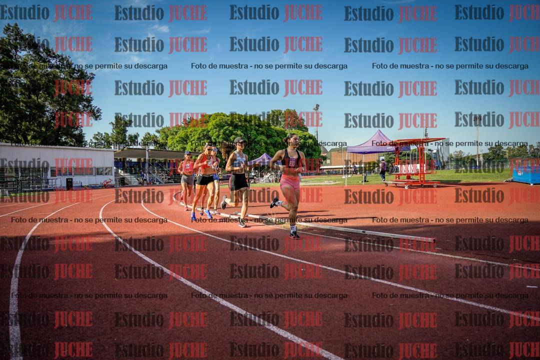 Fotos de los 1500 m llanos de mujeres