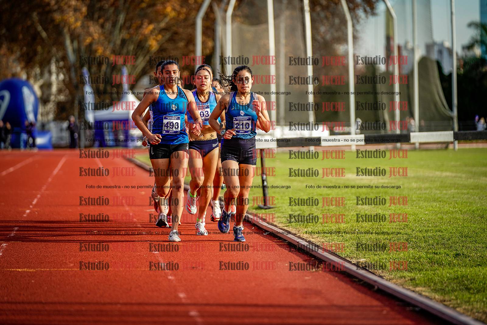 Fotos de los 5000 m de mujeres