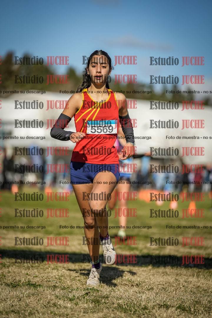 Fotos de las llegadas