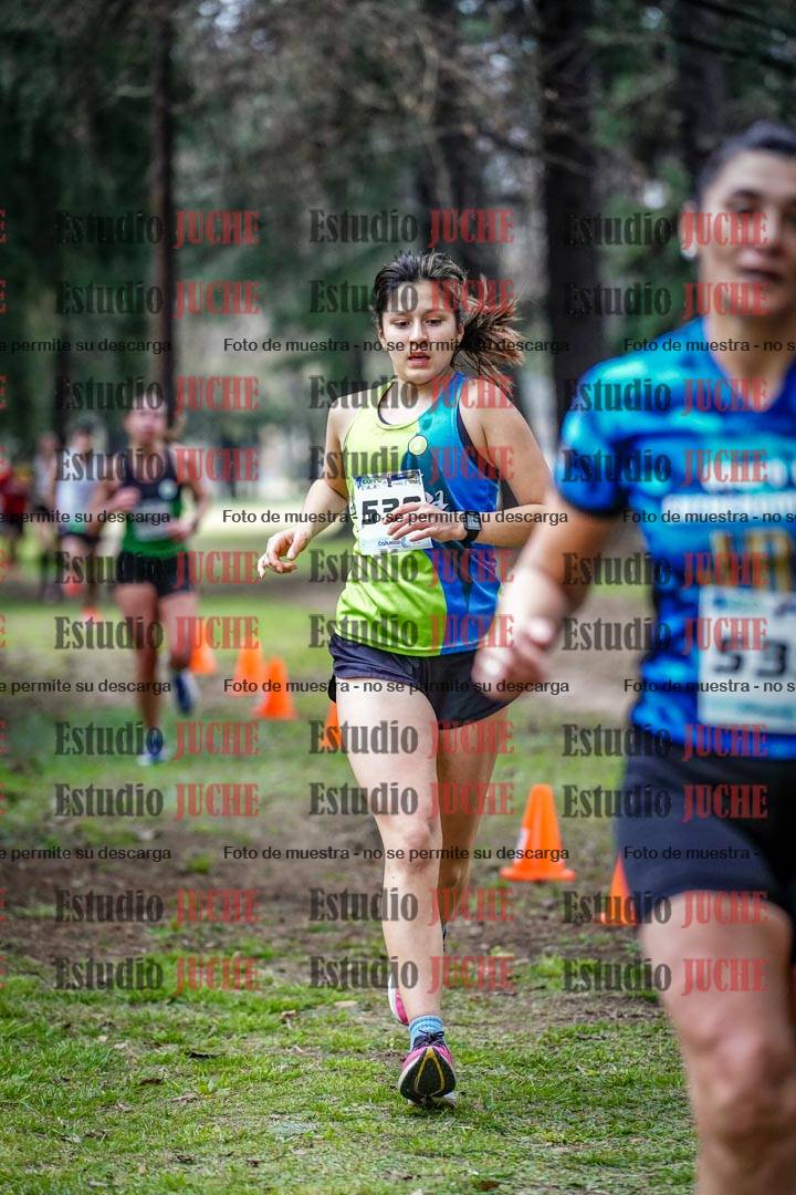 Fotos en el circuito