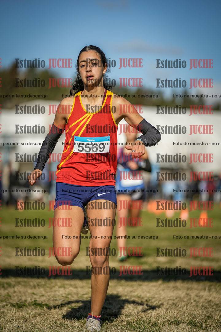 Fotos de las llegadas