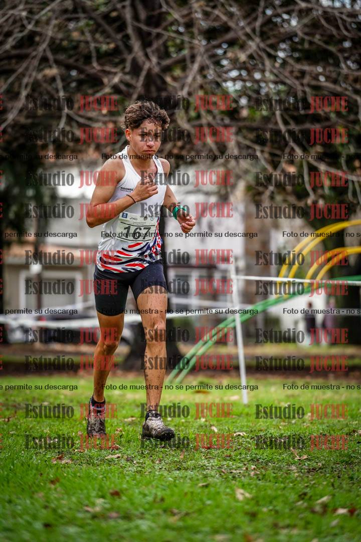 Fotos en el circuito